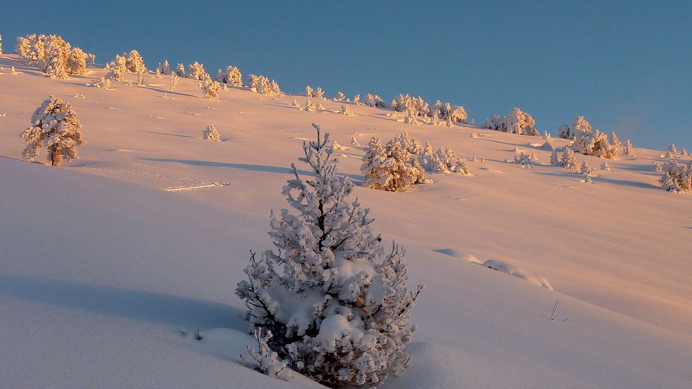 #6 Chamechaude : vraiment comblé de revoir la Chartreuse dans son ecrin blanc Chamechaude : vraiment comblé de revoir la Chartreuse dans son ecrin blanc