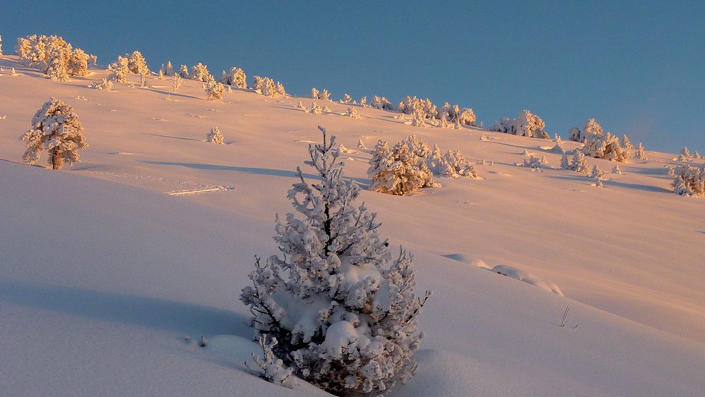 Chamechaude : vraiment comblé de revoir la Chartreuse dans son ecrin blanc