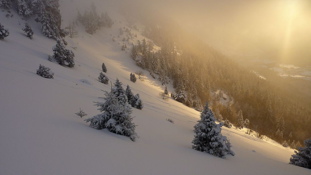 Chamechaude : lumiere rasante