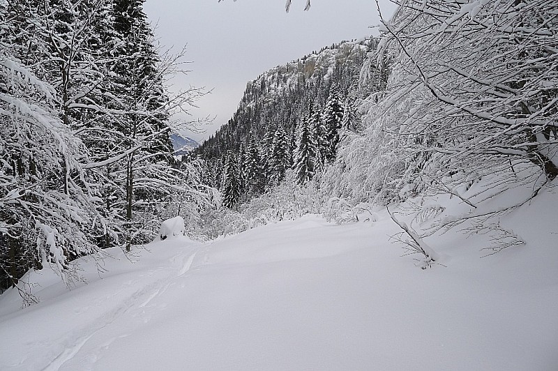 #1 Trace : re-montée Trace : re-montée