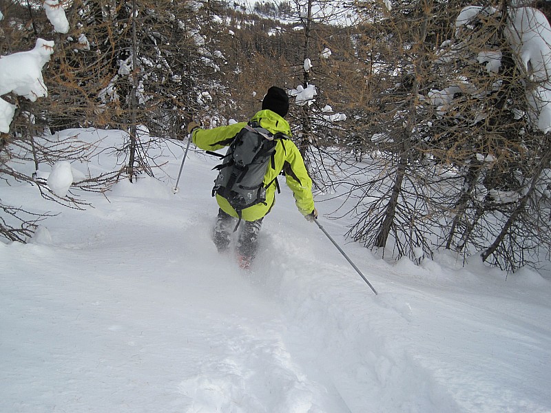 #6 Serre des Vallonnets 27 11 10 : C Serre des Vallonnets 27 11 10 : C'est parti !