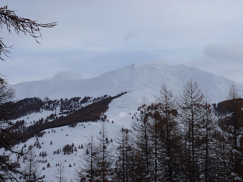 #1 Serre des Vallonnets 27 11 10 : la Gardiole Serre des Vallonnets 27 11 10 : la Gardiole