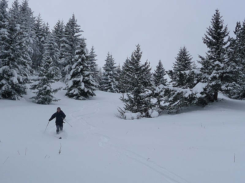 #5 Ambiance hivernale : Sapins sympas et skieur rieur Ambiance hivernale : Sapins sympas et skieur rieur