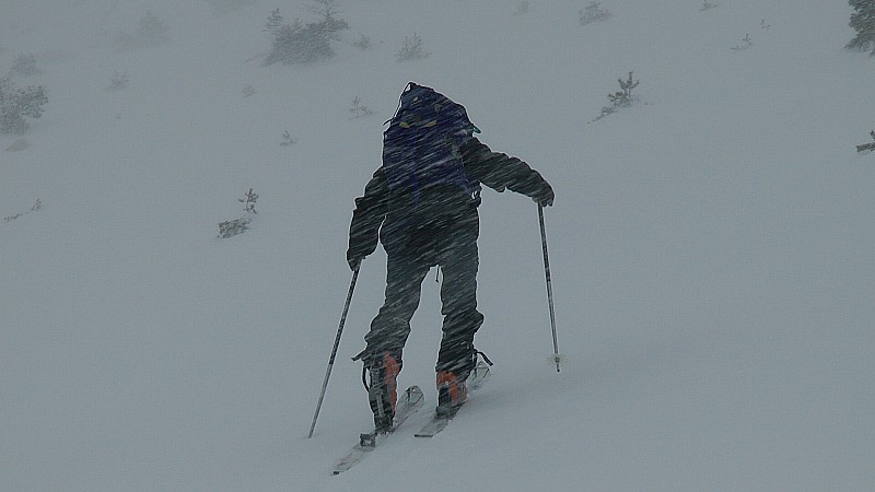 #9 Blizzard, vous avez dit blizzard! belle journée selon météo france
mais on est content, la neige est bien là cette fois et bas ! Blizzard, vous avez dit blizzard! belle journée selon météo france
mais on est content, la neige est bien là cette fois et bas !