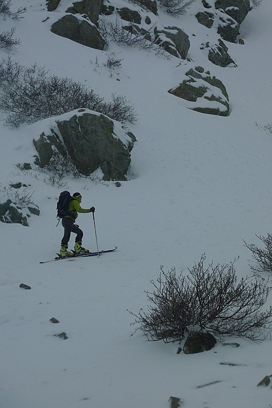 #4 debut des hostilité : ca fait du bien de chuasser les skis!! debut des hostilité : ca fait du bien de chuasser les skis!!