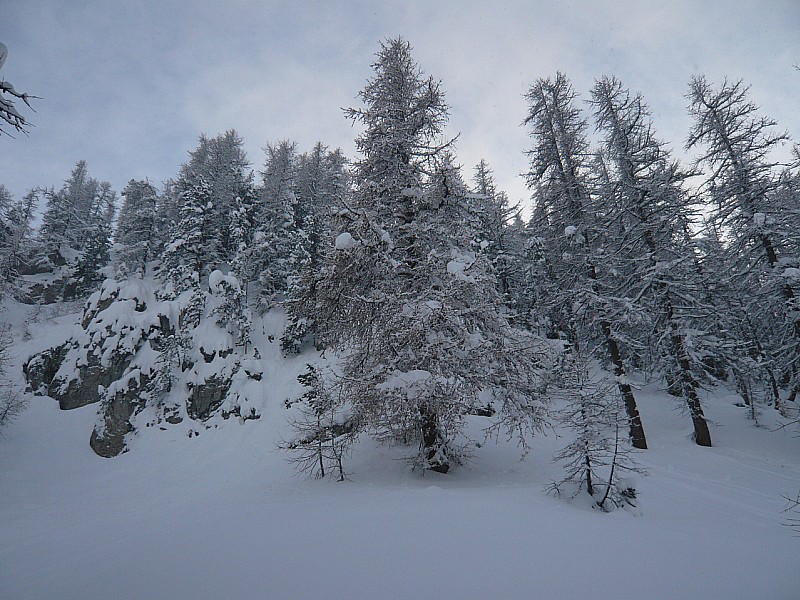#2 Forêt : Sous les rochers, c Forêt : Sous les rochers, c'est très chargé