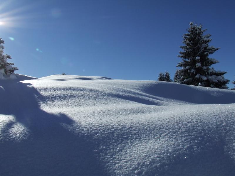 #5 Petit croisse baulet : blanc comme neige Petit croisse baulet : blanc comme neige