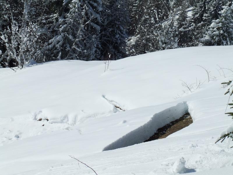 #4 Petit croisse baulet : quelques belles reptations sur les sols herbeux Petit croisse baulet : quelques belles reptations sur les sols herbeux