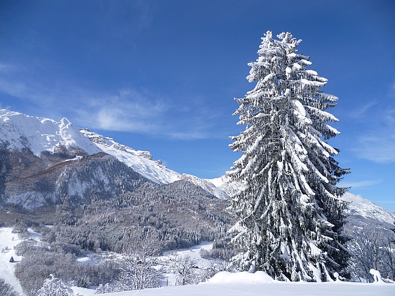 #2 Paysage hivernal Paysage hivernal