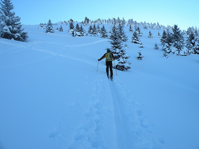 #3 photo3 : Sortie de la foret. Merci aux prédécesseurs pour la trace !!! photo3 : Sortie de la foret. Merci aux prédécesseurs pour la trace !!!