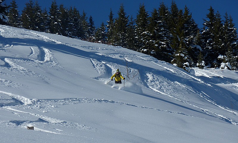 #4 Pointe d Pointe d'Andey : Belle neige