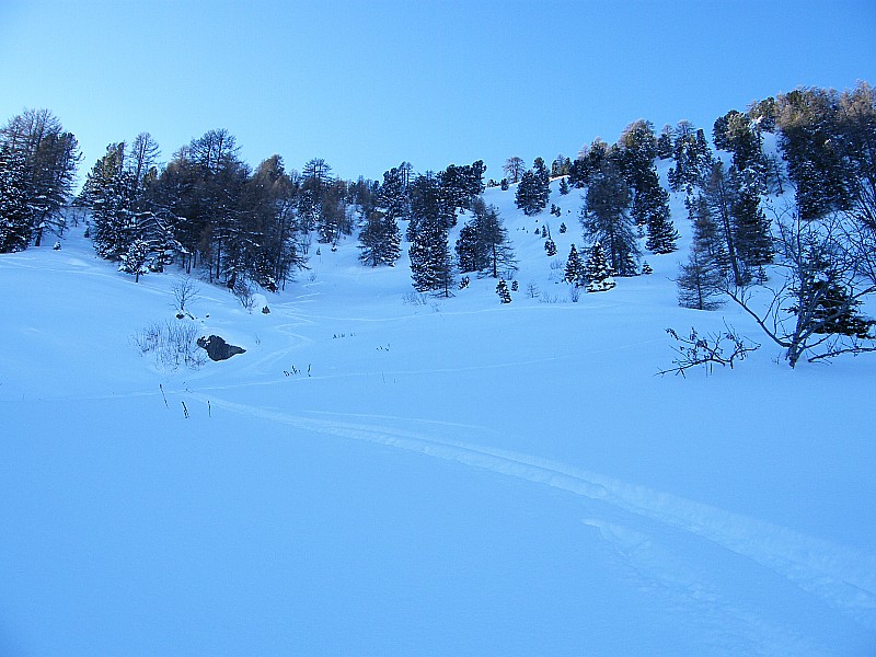 #8 La clairière (à l La clairière (à l'abri) : ouf, on voit pas la trace de ma gamelle !!! ;-D