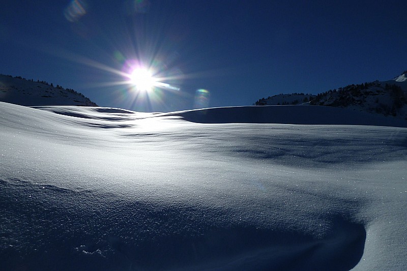 #1 neige vierge : et elle le restera, malheureusement neige vierge : et elle le restera, malheureusement