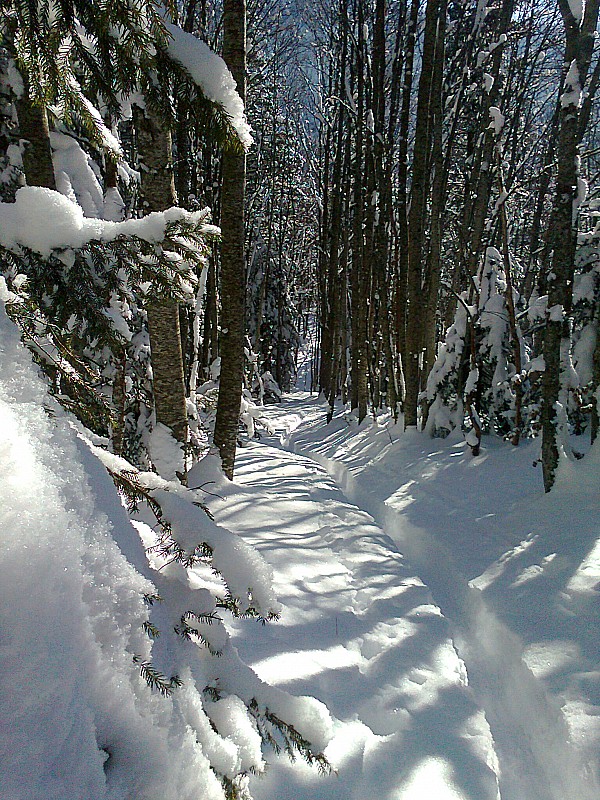 #3 Trace de montée : Trace de montée avec l Trace de montée : Trace de montée avec l'épaisseur de poudre