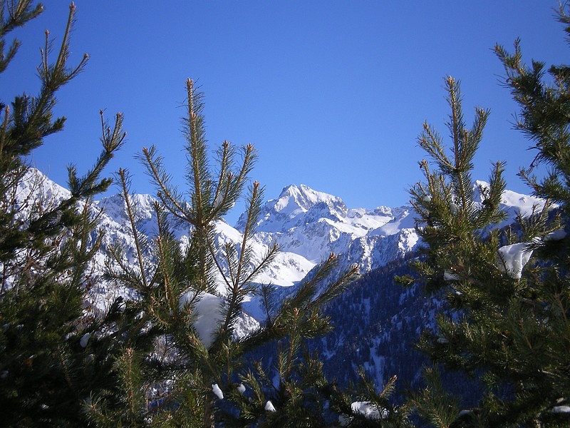 #4 Gélas : Sa Majesté le Gélas Gélas : Sa Majesté le Gélas