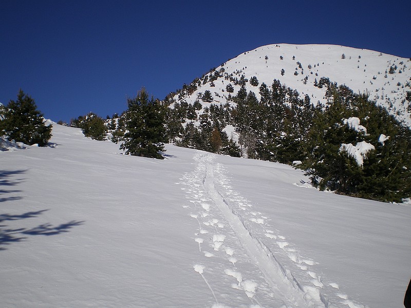 #3 Archas : On sort de la forêt vers 1800m, l Archas : On sort de la forêt vers 1800m, l'enneigement est enfin bon, l'objectif en vue et l'itinéraire évident