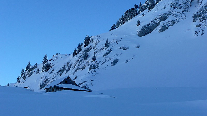 #4 Ambiance frigo ... : ... sous Bovinant Ambiance frigo ... : ... sous Bovinant