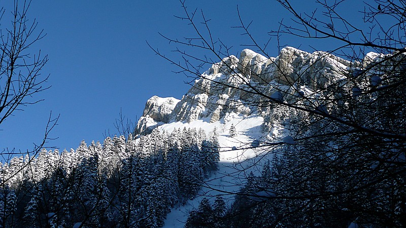 #3 Couleurs Chartreuse : Forêt, calcaire et ciel bleu vers le Pas du Loup Couleurs Chartreuse : Forêt, calcaire et ciel bleu vers le Pas du Loup