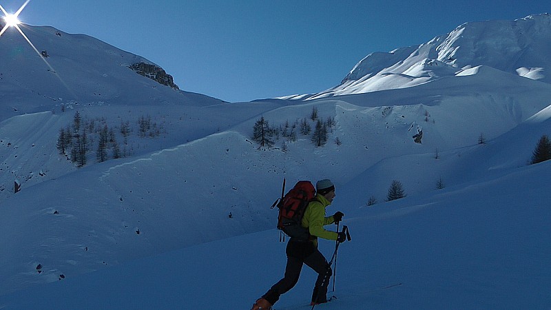 Vallon de l'Alp