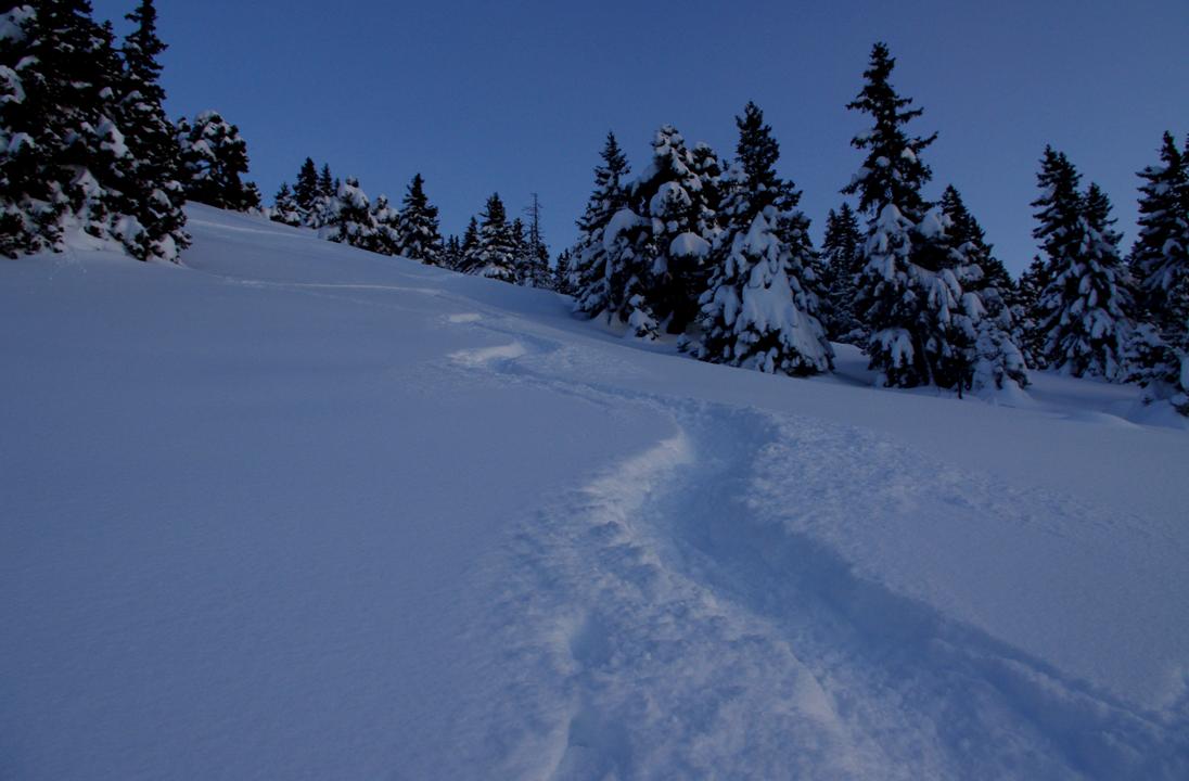 #6 Poudreuse nocturne : Belle épaisseur de poudreuse, qui oppose à la glisse, la structure de ses grains, entrelacés. 15 minutes de descente, qui valent 3h de montée! Poudreuse nocturne : Belle épaisseur de poudreuse, qui oppose à la glisse, la structure de ses grains, entrelacés. 15 minutes de descente, qui valent 3h de montée!