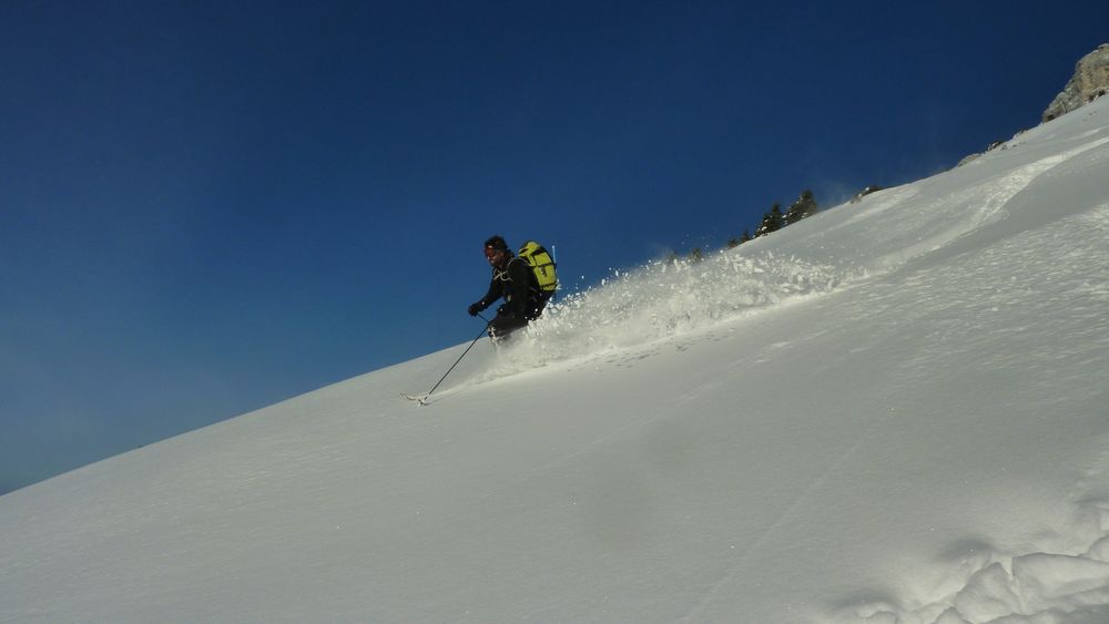 #18 Walfroy : avec ses pelles à tartes, Wa est plus orienté ski grand large... compatible avec l Walfroy : avec ses pelles à tartes, Wa est plus orienté ski grand large... compatible avec l'AOC Chartreuse