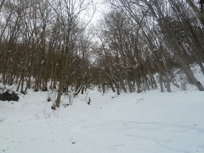 #4 Morbié : Belle trouée providentielle sous le col de la Sciaz...dommage que ça manque de sous couche. Morbié : Belle trouée providentielle sous le col de la Sciaz...dommage que ça manque de sous couche.