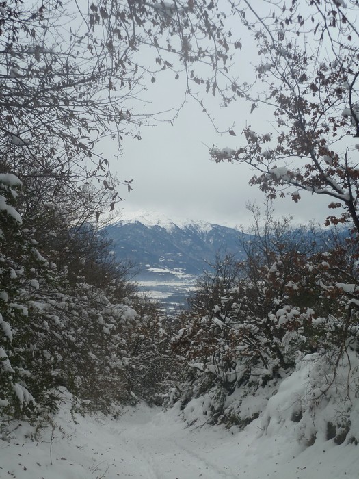 #5 Morbié : Sur la piste au retour. Morbié : Sur la piste au retour.