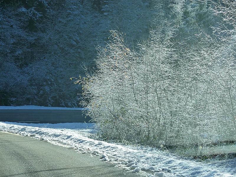 Retour : Féerie sur la route. La course,c'est ça aussi.