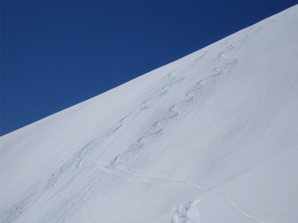 #4 Poudreuse : Si si, il restait de la poudre dans cette face sud ! Poudreuse : Si si, il restait de la poudre dans cette face sud !