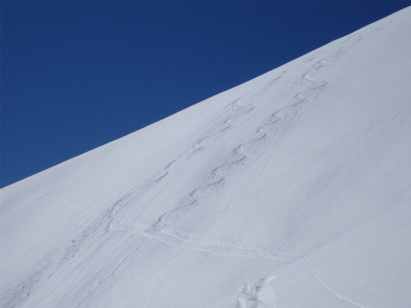 Poudreuse : Si si, il restait de la poudre dans cette face sud !