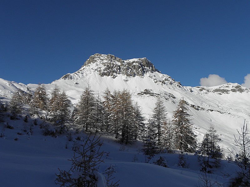 #3 La Pousterle. : Seigneur des lieux. La Pousterle. : Seigneur des lieux.