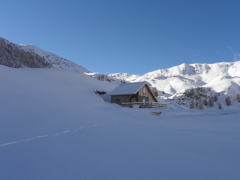#1 Cabane de corbières Cabane de corbières