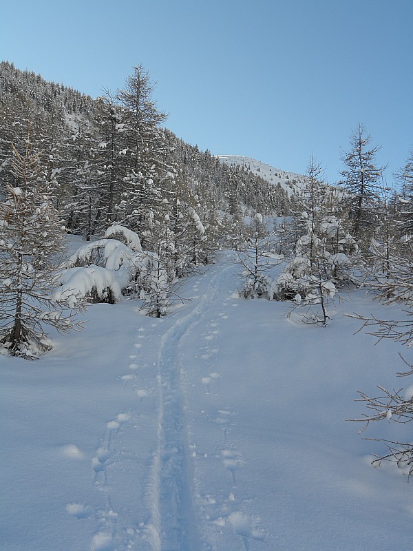 #2 Belle ambiance d Belle ambiance d'hiver