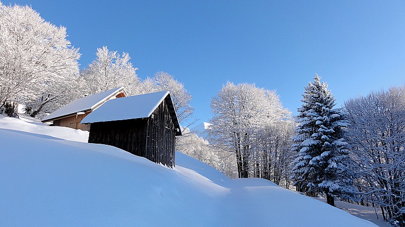 Chalet : Tré le Mont