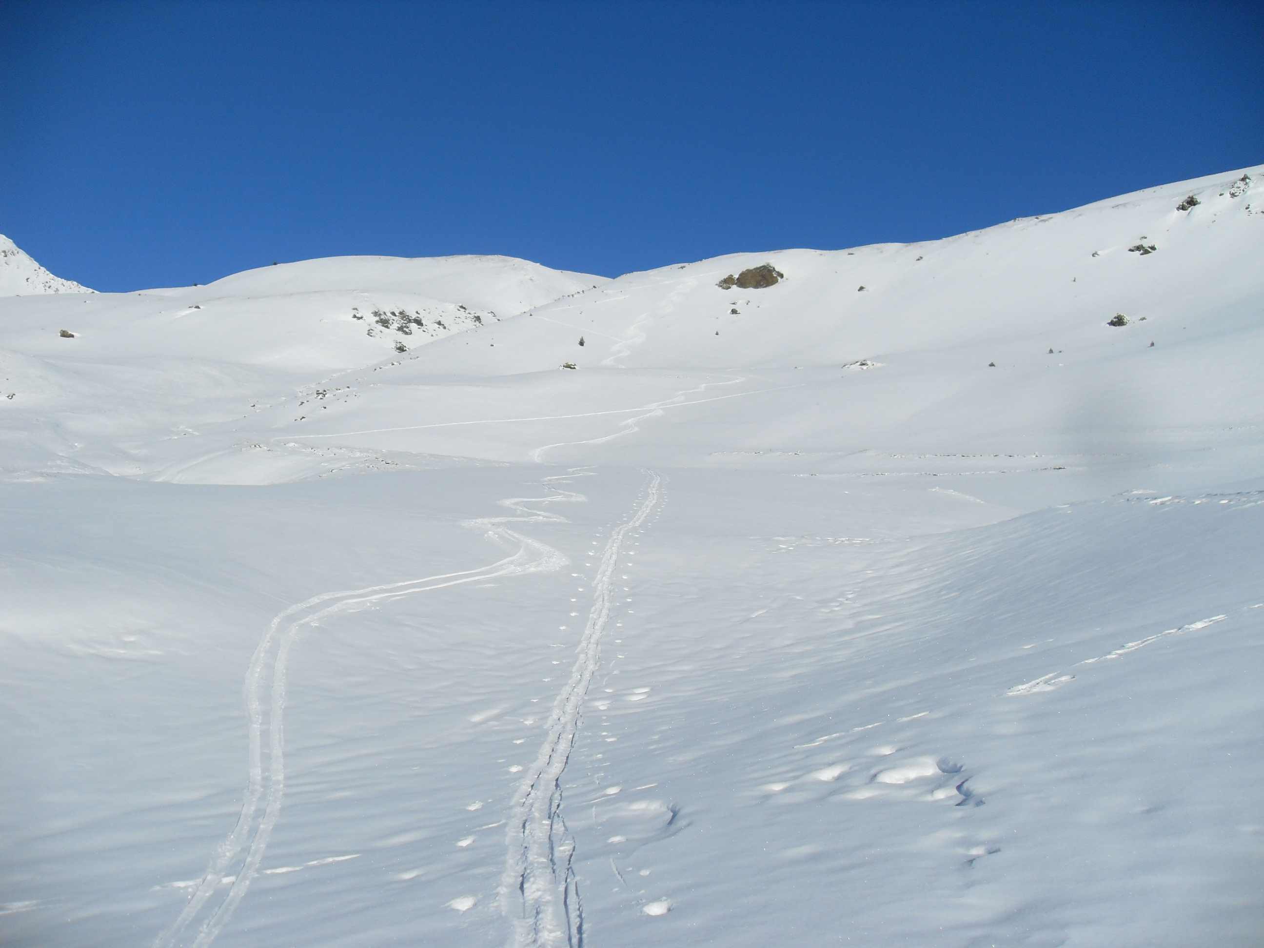 #6 Cime de Saurel : quelques petites pentes pas mauvaises à skier Cime de Saurel : quelques petites pentes pas mauvaises à skier