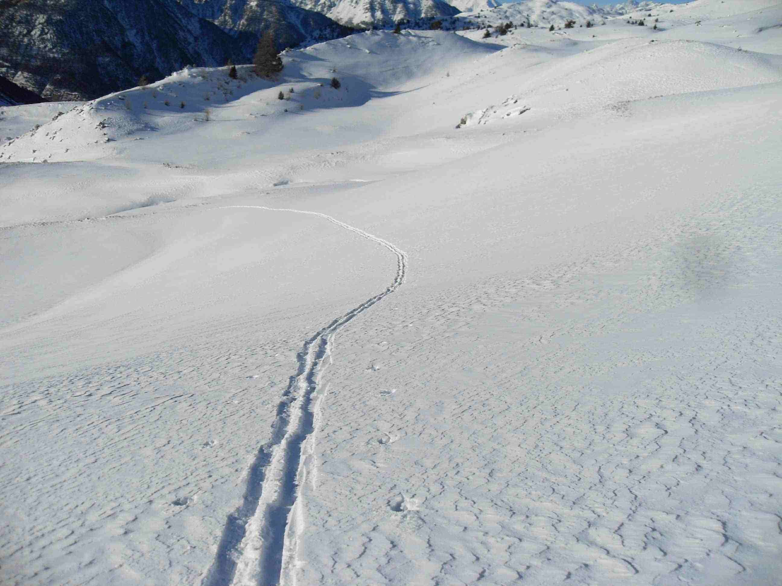 #4 Cime de Saurel : seulement 10 cm de Fraîche, facile la trace! Cime de Saurel : seulement 10 cm de Fraîche, facile la trace!