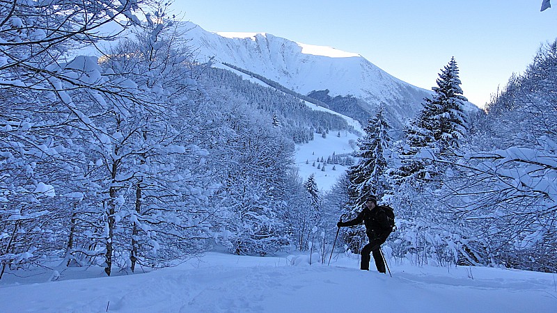 #1 Sous les sapins enneigés... : Bientôt Noël ? Sous les sapins enneigés... : Bientôt Noël ?