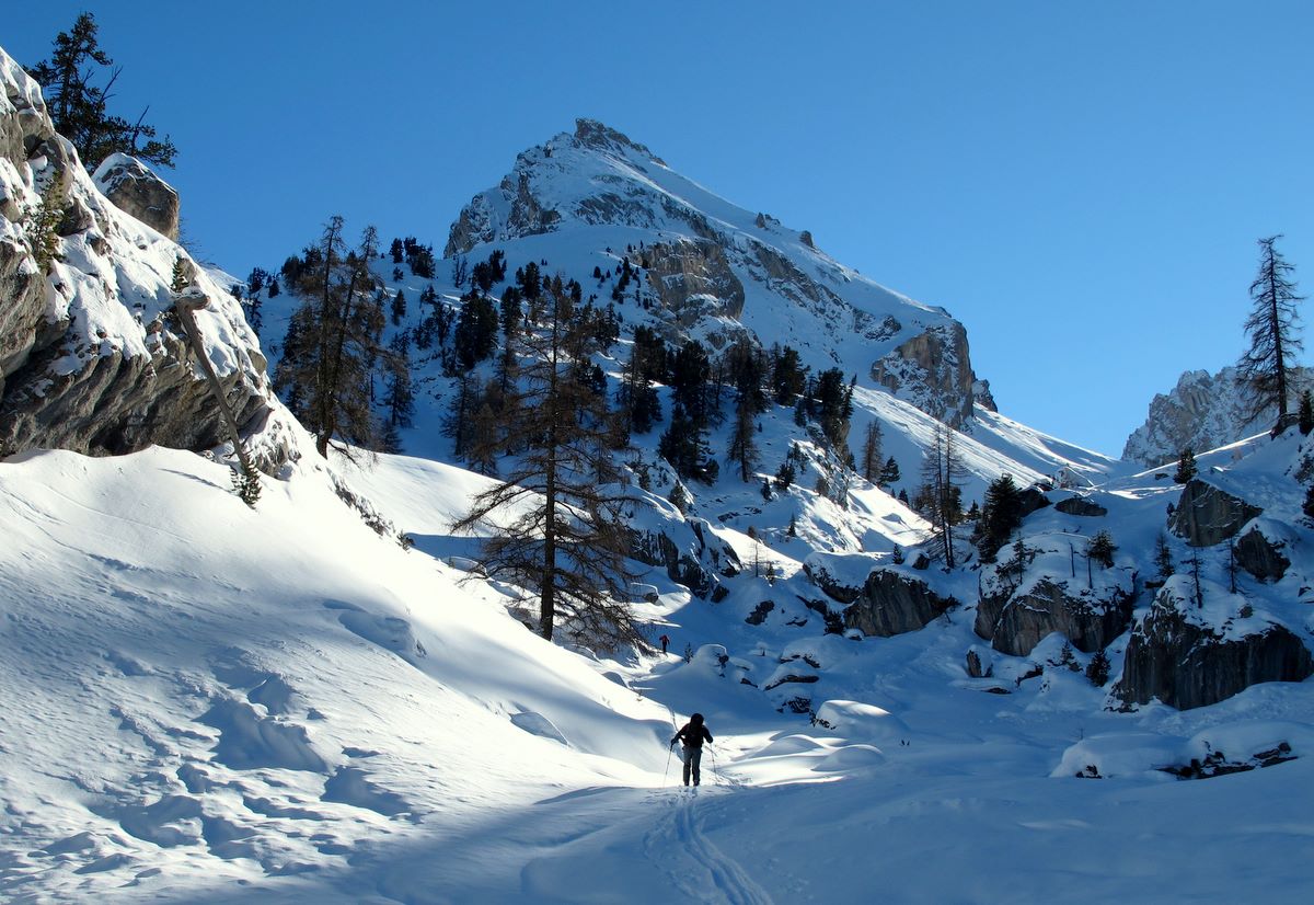 #7 La sortie des bois La sortie des bois