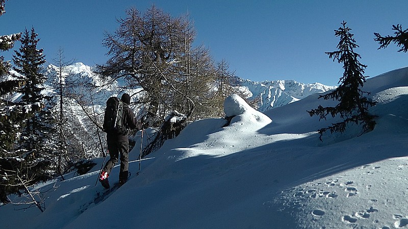 #9 Enfin le soleil sera plus présent sur la crête Enfin le soleil sera plus présent sur la crête