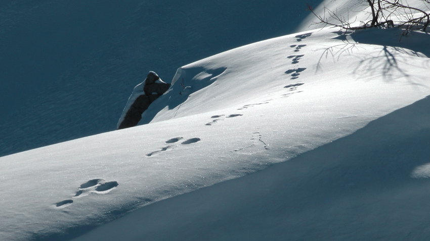 #17 Ombres et Traces .... moment magique Ombres et Traces .... moment magique