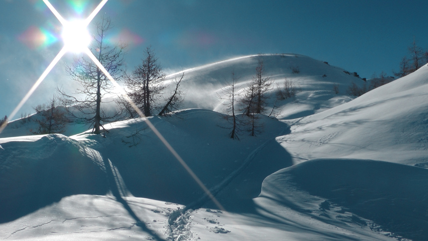 #15 antécime, où les rafales redoublent on ne s antécime, où les rafales redoublent on ne s'y attardera pas !