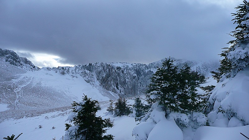 #8 Au-dessus du col de Léchaud : Planqués dans les sapins-champignons, presque à l Au-dessus du col de Léchaud : Planqués dans les sapins-champignons, presque à l'abri de la turbine de Léchaud. On n'ira pas plus loin !