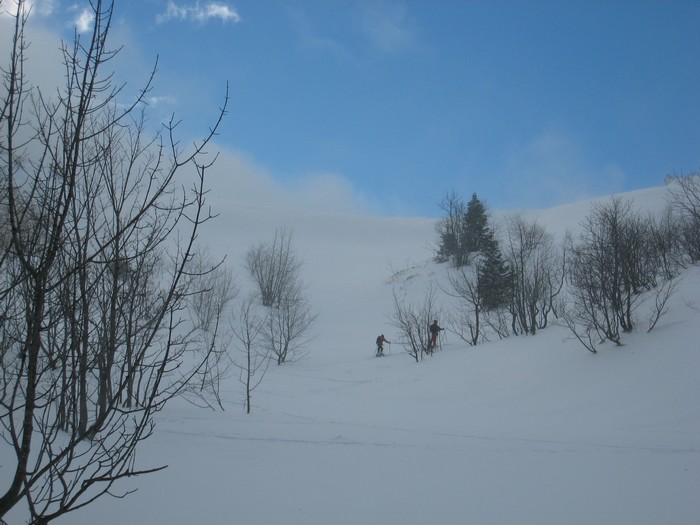 #1 Vent ! : Plaque sous le col de Léchaud, nous bifurquons vers la droite dans les sapins Vent ! : Plaque sous le col de Léchaud, nous bifurquons vers la droite dans les sapins
