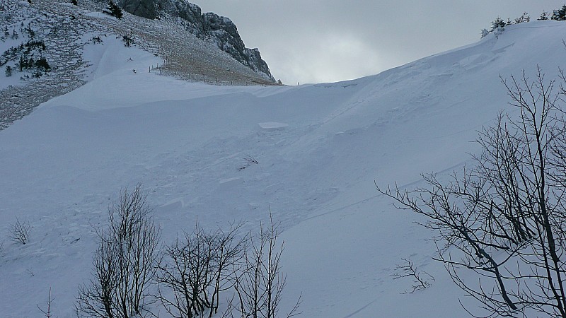 #11 L L'avalanche de Léchaud ... : La plaque vient de céder au passage de 2 skieurs, dès que le second s'est engagé sur la gauche de la combe. Aux premières loges avec Khara, prêts aussi au cas où ...