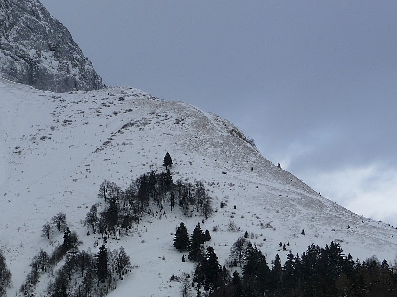 Plane de Chérel : Soufflé