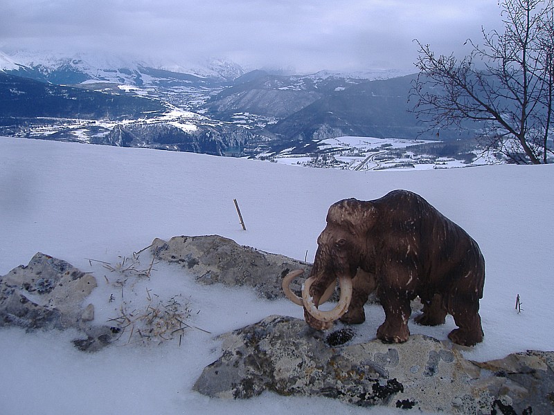 Drôles d'animaux au sommet : Ne jamais sortir sans son Mammut lorsque le risque avalanche est fort! le mien il pulse!
Le barrage de Monténard n'en revient toujours pas!