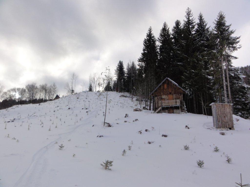 #1 trace cabane : Traces dans pépinières trace cabane : Traces dans pépinières