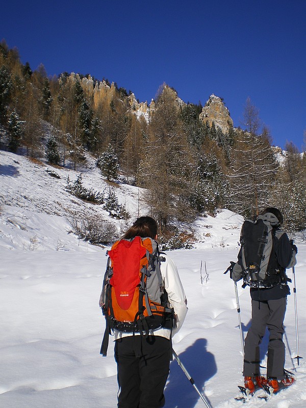 #1 Col Tronchet : Combe du Pinet Col Tronchet : Combe du Pinet