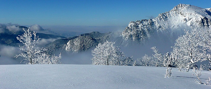 #12 Le Grand Som : Du paysage 100% Chartreuse sur 360° au sommet de la Scia Le Grand Som : Du paysage 100% Chartreuse sur 360° au sommet de la Scia