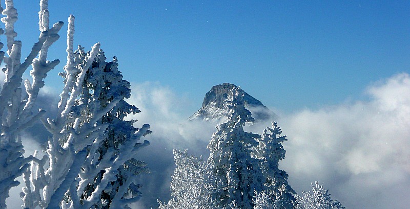 #9 Chamechaude : Du haut de la Scia Chamechaude : Du haut de la Scia